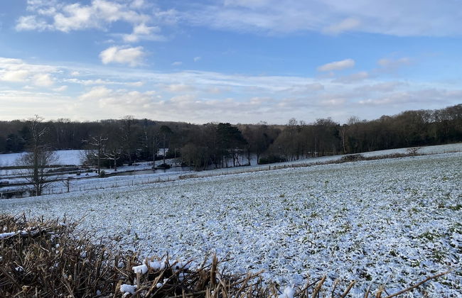 Private and Secluded Cabin in Rowfant - Foto 26