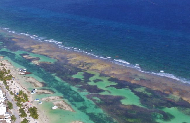 Condo Gerry - Photo 8