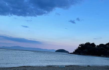 Olivia -Ελιά - Foto 45