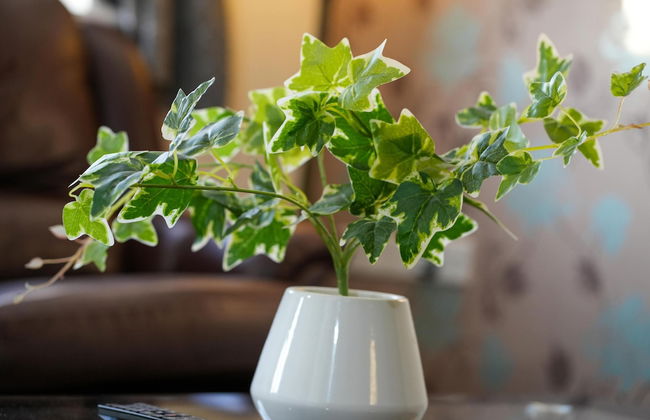 The Old Dairy Holiday Home - Foto 26