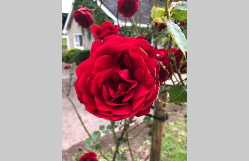 Rhubarb Cottage - Foto 7