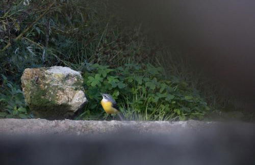 Quinta da Portinha, stunning views of the Douro River - Foto 30