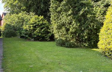 Wren Cottage - Foto 22