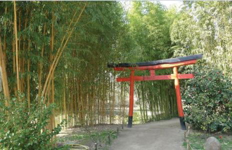 La Pichioline - Foto 12