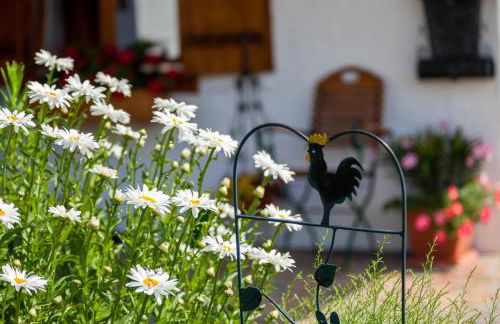 Haus der Berge Ferienwohnung - Foto 6