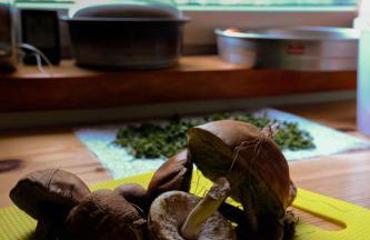 Agroturystyka TWÓJ KĄCIK - Foto 30