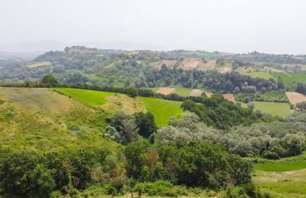 Tenuta Colle Sala The Villa - Foto 37