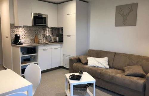 Le Lioran, La Sumène, Studio balcon tout confort aux pieds des pistes - Photo 4