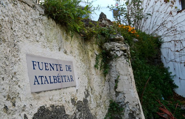 Castaño Real - Photo 19