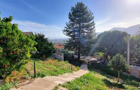 Casale di Sicilia - Foto 13