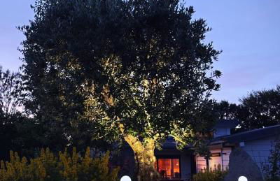 Spacieux Chalet en Bois Massif au coeur du Finistère - Foto 58