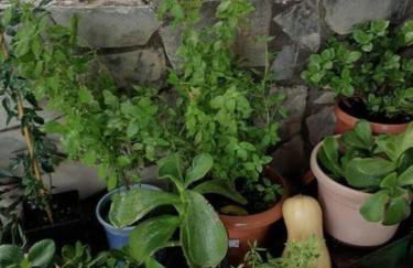 House of Athina and Fanourios - Photo 30