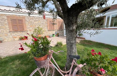 Agriturismo Country Casale Rufo - Foto 3