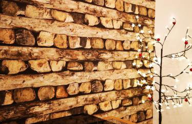 Kot Pocztowy - Foto 67