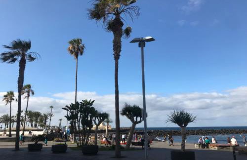 Sunset Avenida - Foto 47