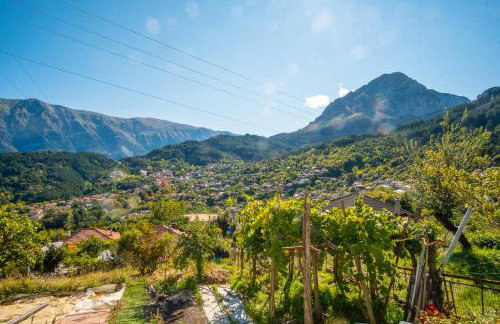 Remvi GUEST HOUSE - Photo 11