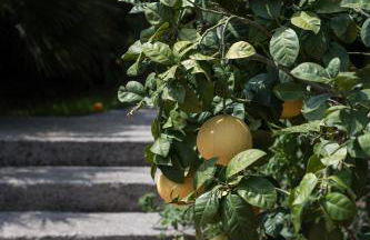 Dimora Bolsone - Foto 8