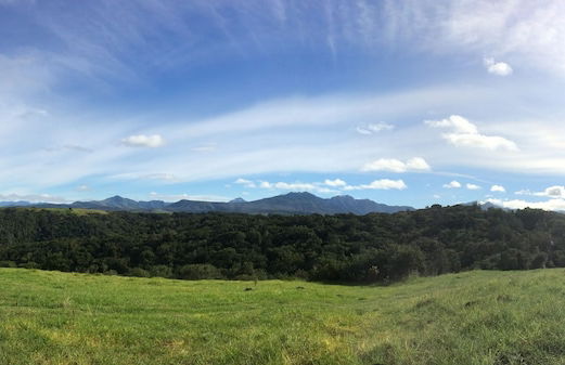 Teniqua Treetops - Foto 72