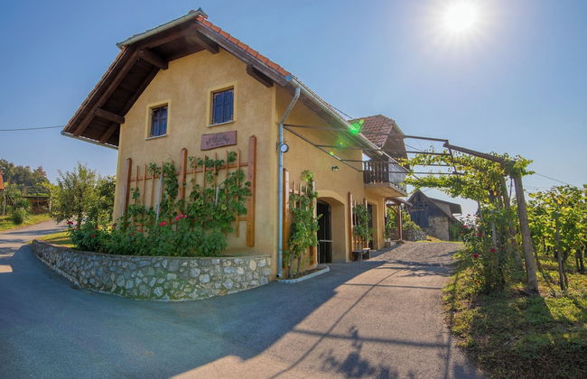 Vineyard Cottage Brodaric - Foto 23