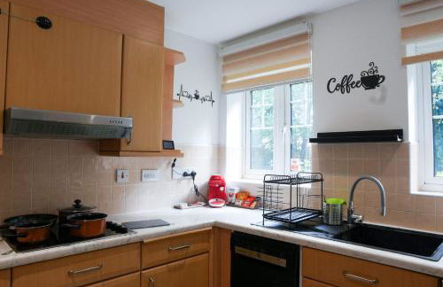 Whole 2-Bed Apartment - Contractors, Professionals, ULEZ Free, Free Parking, B'ham City 10mins - Foto 15