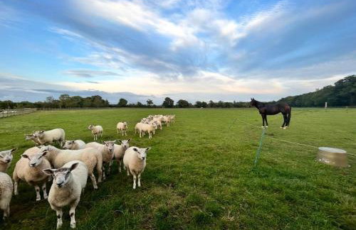 The Studio at Bluebell Barn - Foto 9