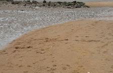 Appartement vue mer - Foto 24