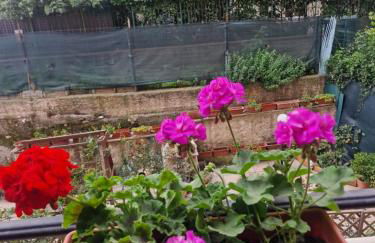 La perla bianca - Foto 47