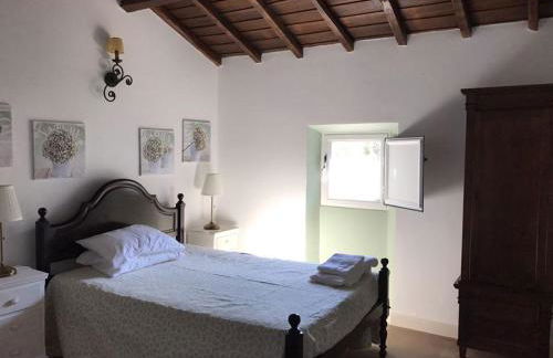 Monte de Sao Francisco - Foto 10