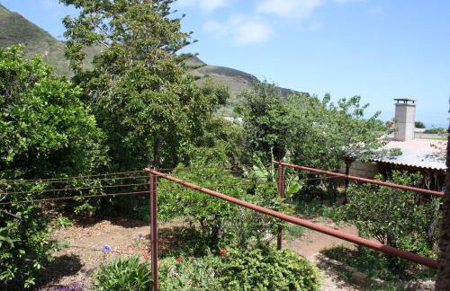 Finca El Vergel Rural - Photo 34