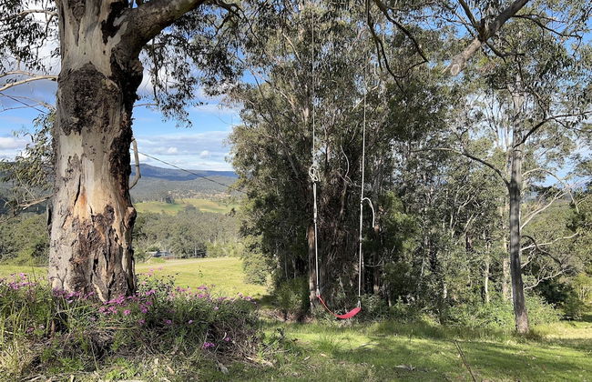 Bluegums Cabins Barrington Tops - Photo 68