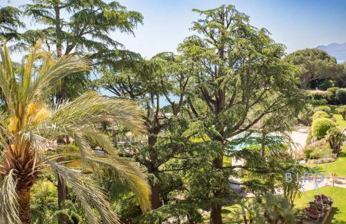 Beautiful apartment in Cannes SEA VIEW and POOL - Foto 43