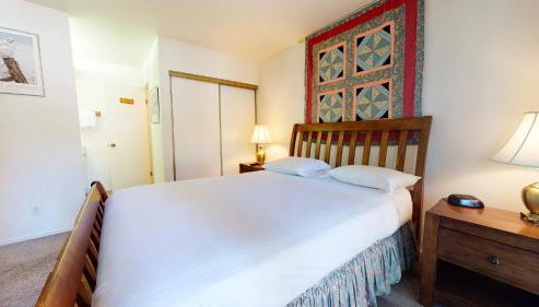 Summit Condominium #273 Condo - Foto 3