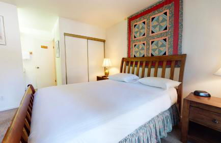 Summit Condominium #273 Condo - Foto 3