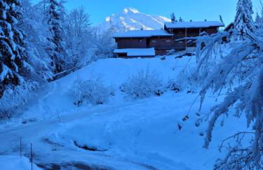 Studio rénové La Clusaz - Foto 9