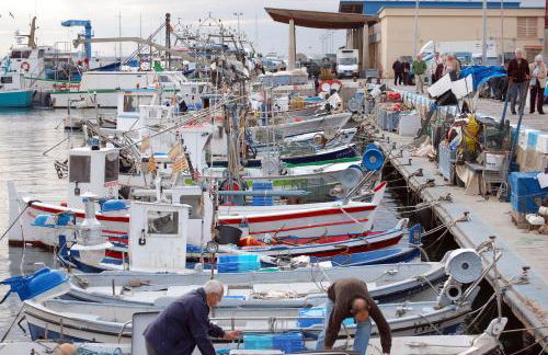 1089 Puig Rom - Apivend Immo - Foto 29