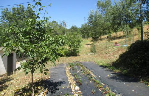 Bungalow "A Choupana" - Quinta da Carvoíça - Vale Pradinhos - Foto 23