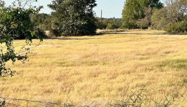 High Noon Hideout Tiny Home in Springtown TX - Foto 4