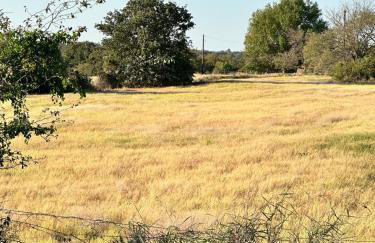 High Noon Hideout Tiny Home in Springtown TX - Photo 4