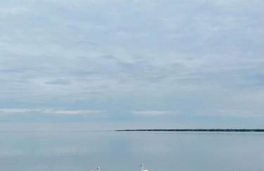 Waterfront Designer Retreat! Stunning Sunsets! Less than 5 minutes to the beach! - Foto 28