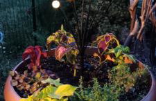 Blū House - Foto 42