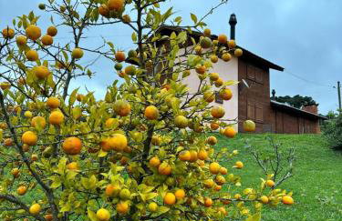 Aconchego e Tranquilidade - Photo 13