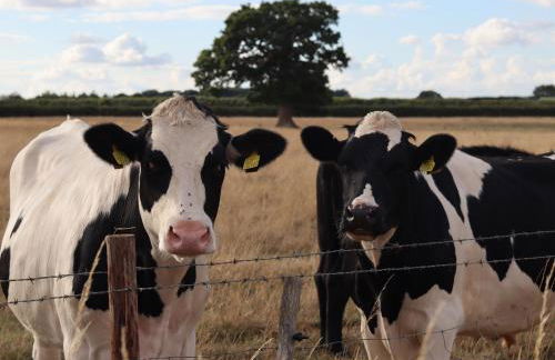 The Anchorage Nables Farm - Foto 55