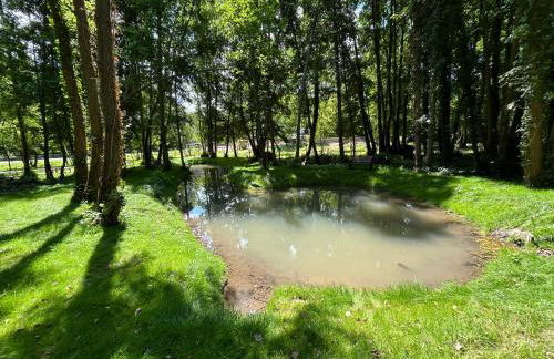 Le relais du Château - Foto 8