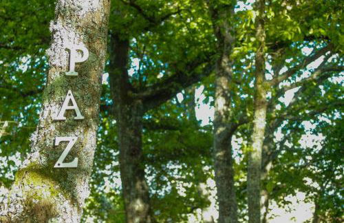 Casa das Palmeiras - Pedagogic Farm - Foto 92