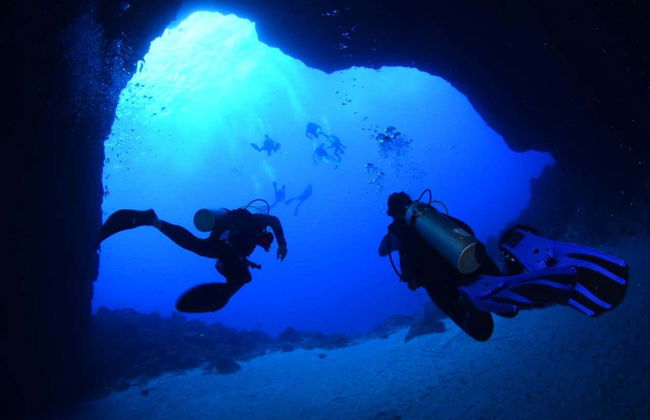 Immersione a Fernando de Noronha - Foto 3