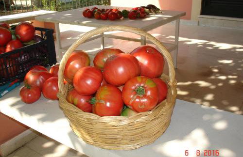 Villa Magia - Photo 45
