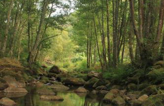 Douro Senses - Nature House - Foto 24