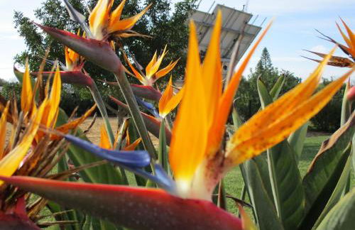 Apartamentos Monte dos Avós, Albufeira by AlgarveBlossom - Foto 62