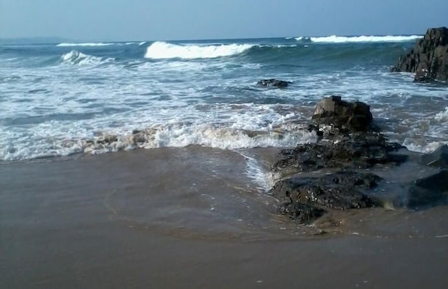 Beachfront Cabanas - Photo 34