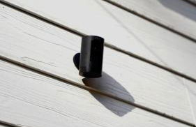 A Cabin in the City with a 5 Star Lush Backyard - Foto 66